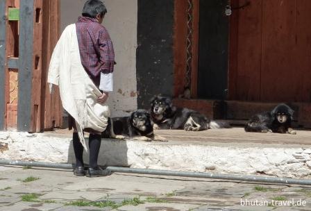 chambula dorji bei den hunden im bumthang dzong 2